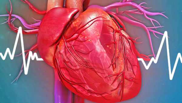 Причины появления ишемической болезни сердца "
